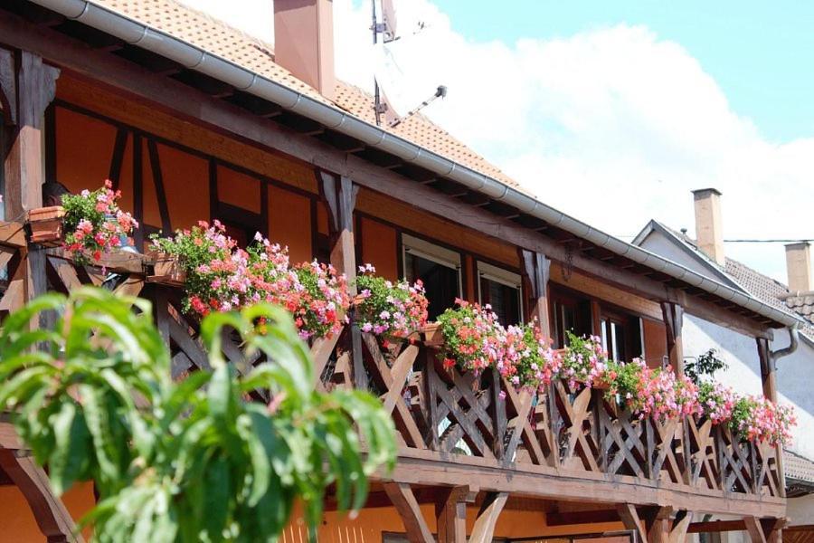 Chambres D'Hotes Arnold Dambach Esterno foto