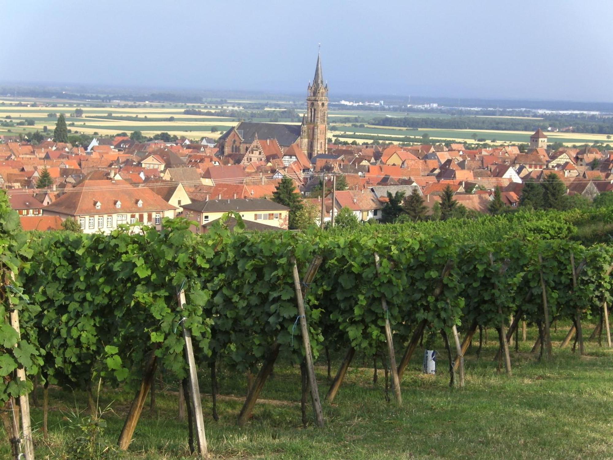 Chambres D'Hotes Arnold Dambach Esterno foto